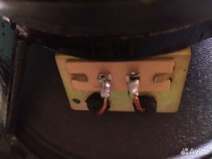 Динамики новые