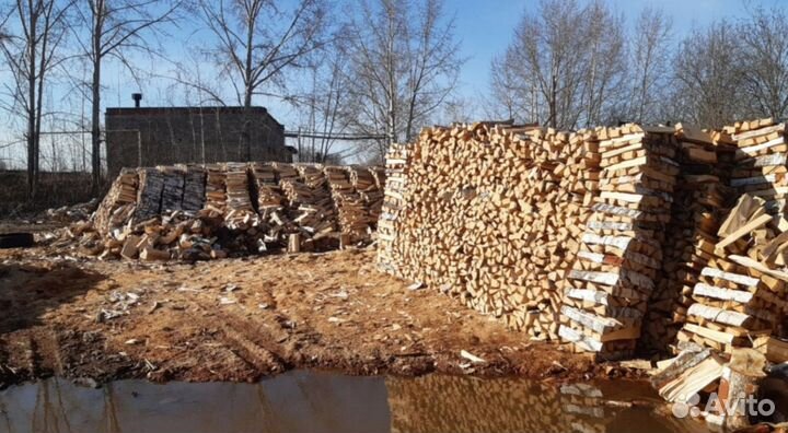 Дрова березовые