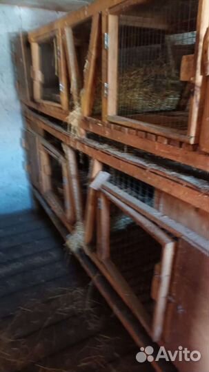 Клетки для кроликов бу