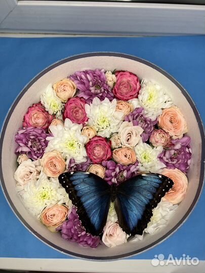 Букет цветов и тропическая бабочка