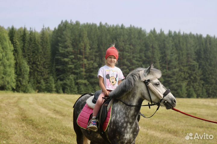 Конная прогулка по лесу