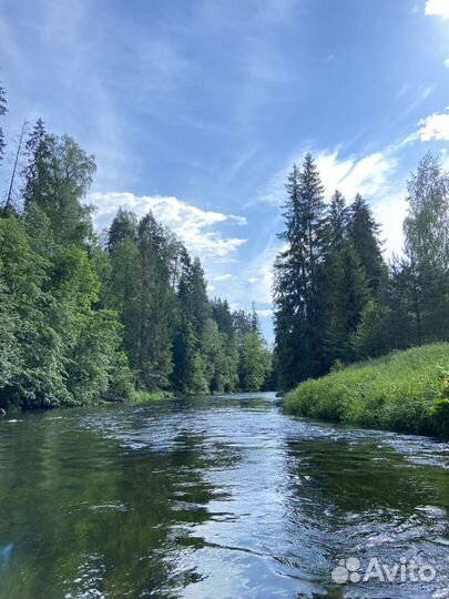 Прогулка на сапбордах Оредеж