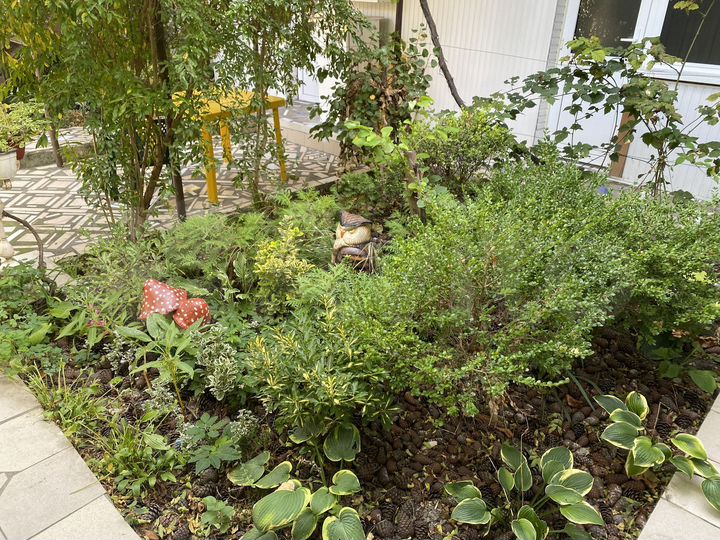 Дом 60 м² на участке 6 сот.