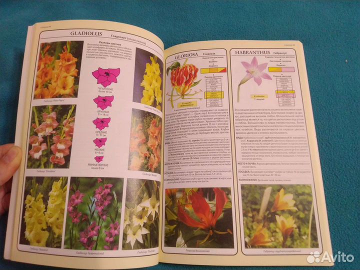 Разные книги