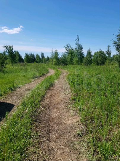 Участок 10 сот. (ИЖС)