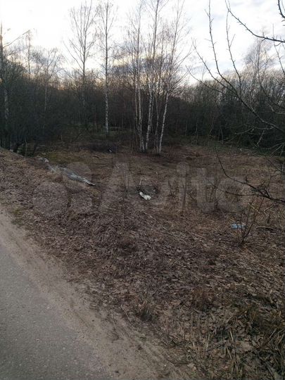 Участок 10 сот. (ИЖС)