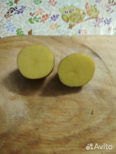 Картофель галла, королева анна с доставкой