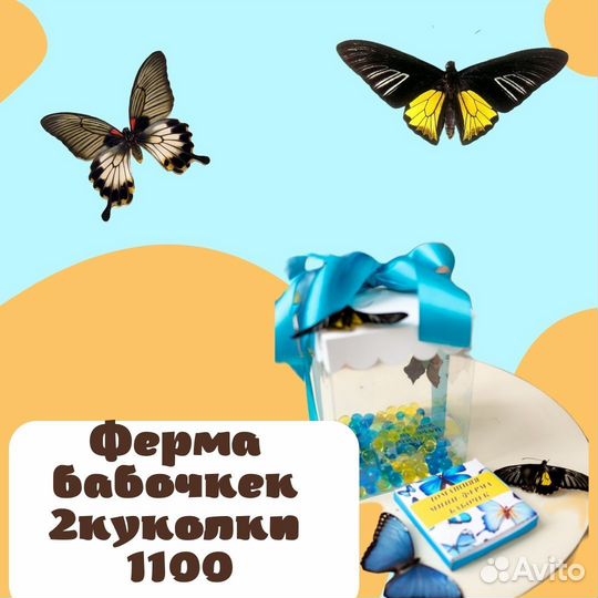 Детская мини ферма бабочек