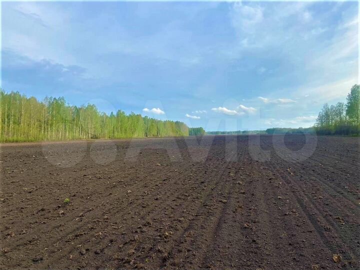 Участок 44 га (ИЖС)
