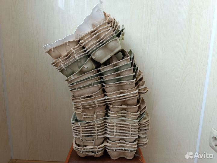 Яичные лотки