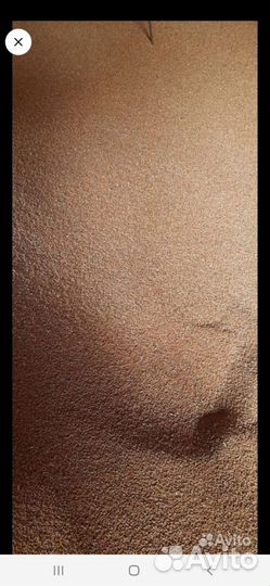 Пшеница,ячмень