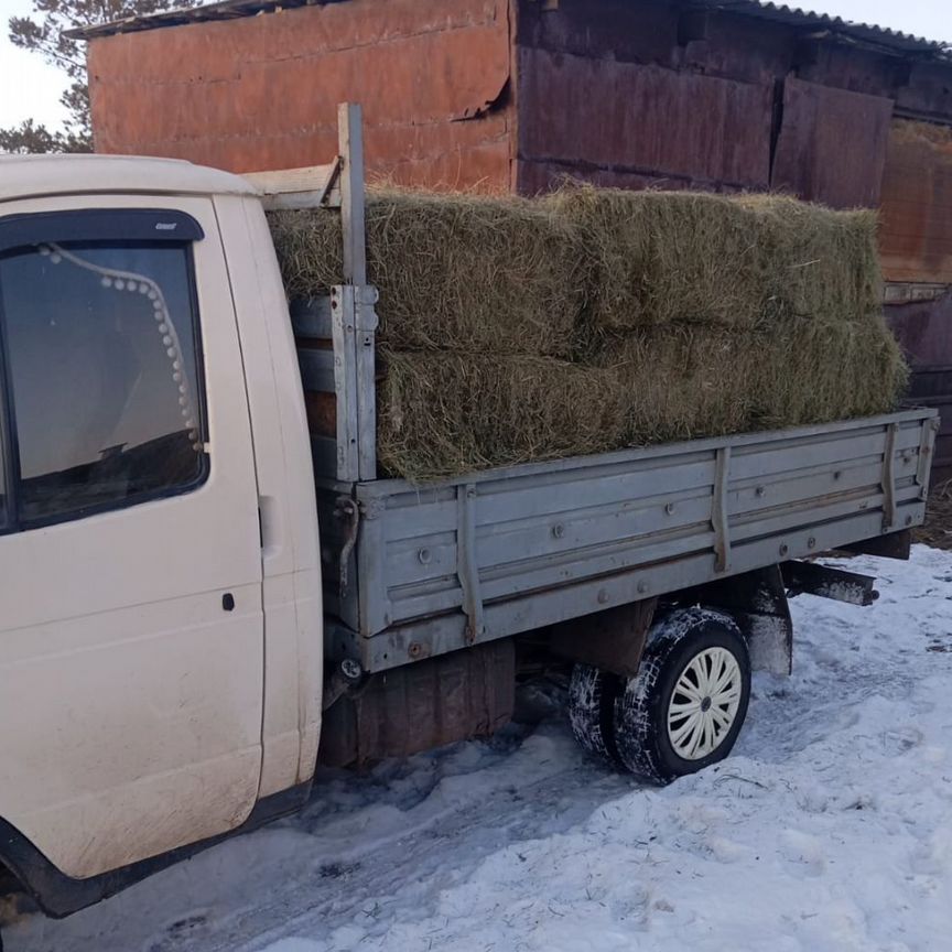 Сено в квадратных тюках