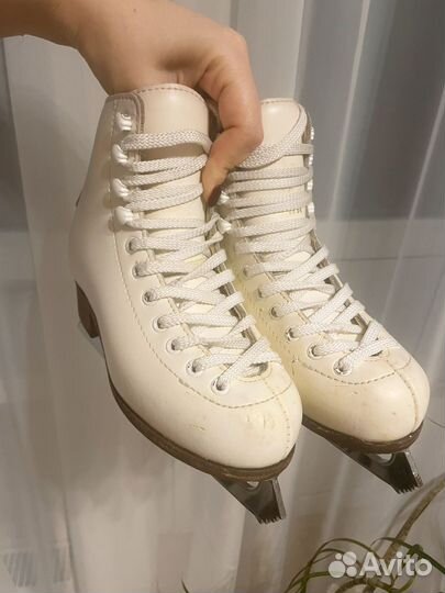 Коньки фигурные fifa 30 LL