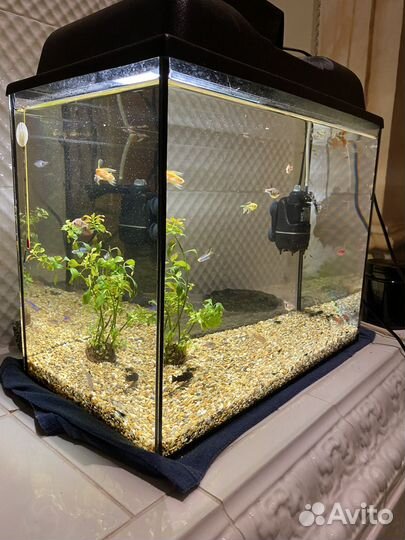 Аквариум с фильтром