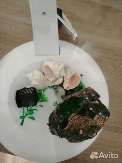 Аквариум Cascade Tetra