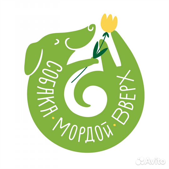 Администратор студии йоги (м.Фрунзенская)