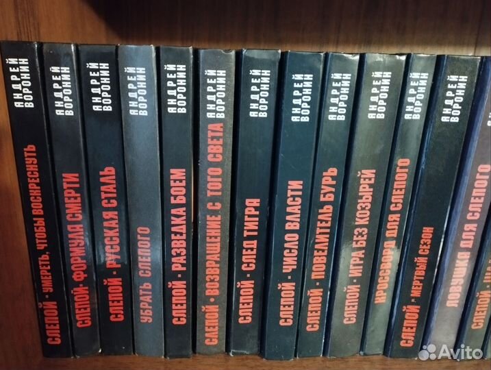 Книги. Андрей Воронин. Слепой