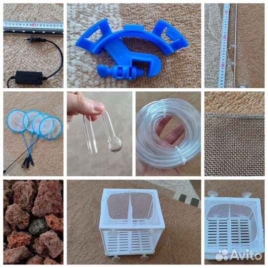 Буцефаландры на лаве