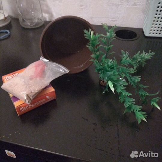 Вещи для улиток