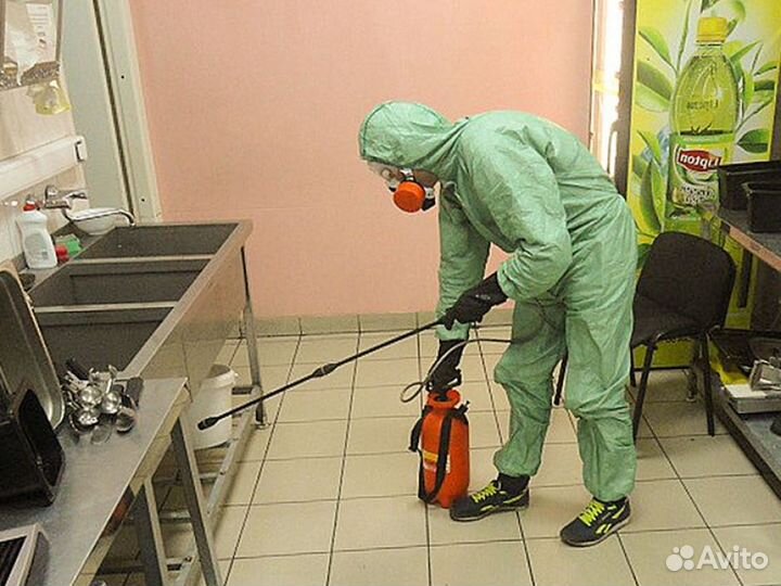 Барнаул Уничтожение Тараканов Клопов Клещи