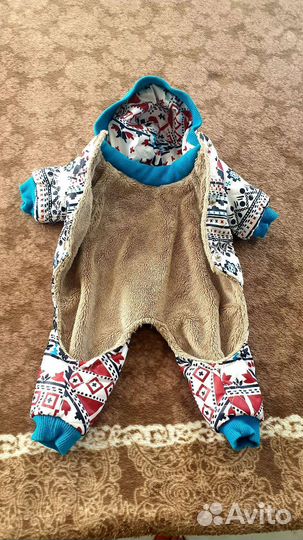 Одежда для собак