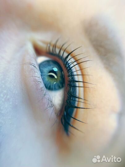 Архитектура бровей и ламинирование ресниц