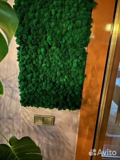 Озеленение Панно из стабилизированного мха