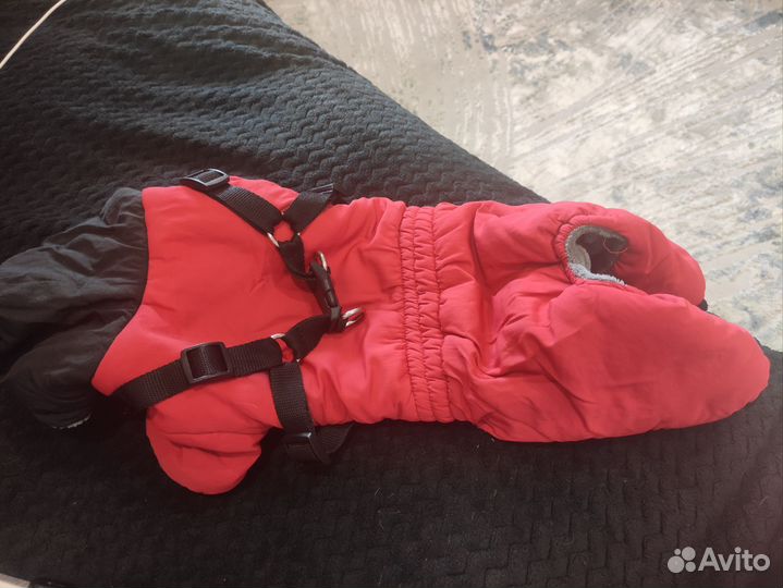 Одежда для маленьких собак