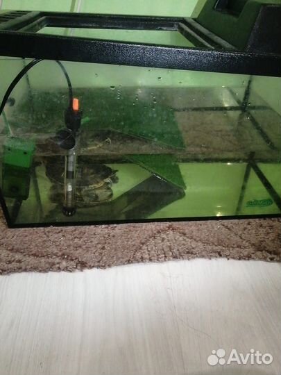 Аквариум