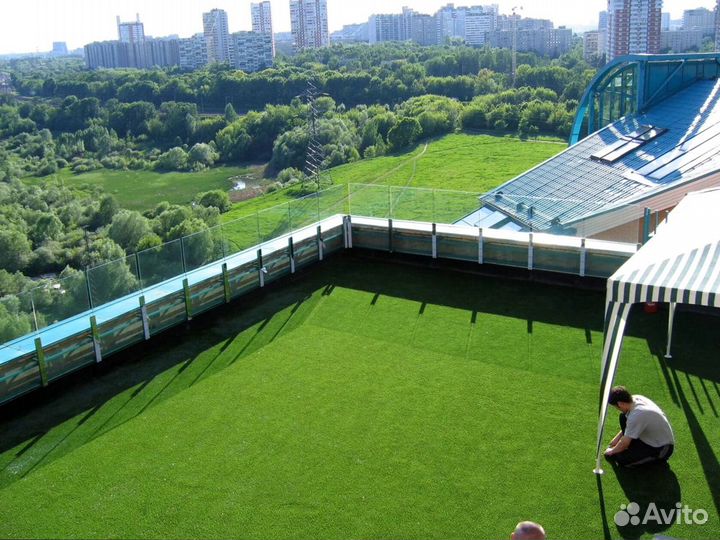 Трава в рулонах, газон