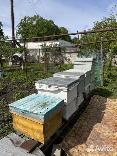 Продам ульи для пчел