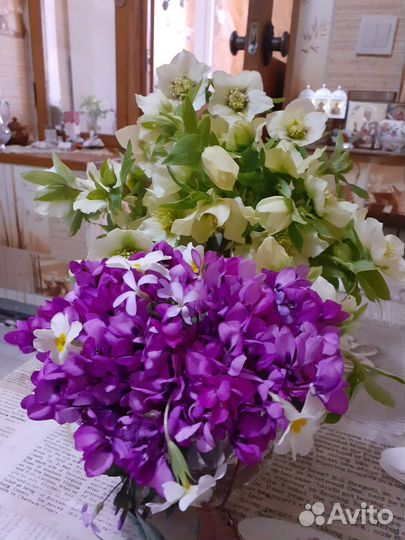 Луковицы цикломенов,подснежники,анимоны