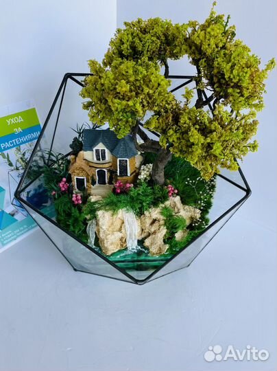 Флорариум. Не требует ухода. Моссариум в наличии
