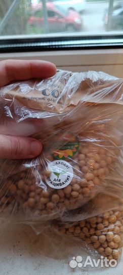 Соя для проращивания