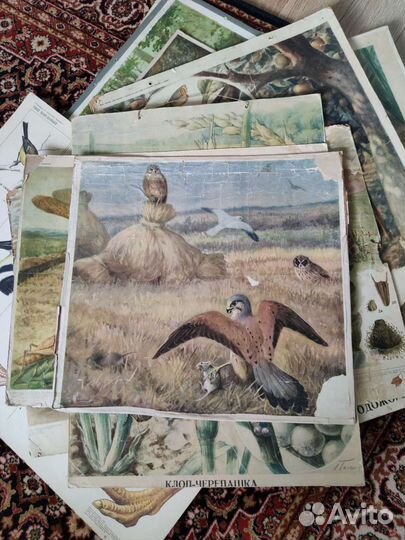 Плакаты, СССР