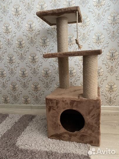 Когтеточка для кошек