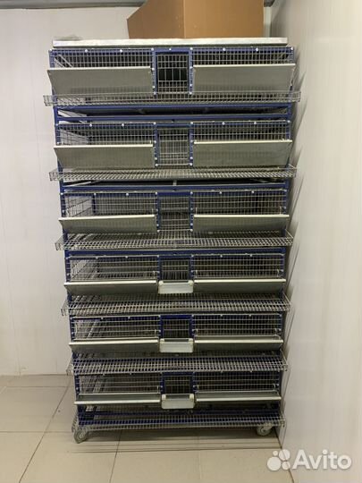 Клетки для перепелов