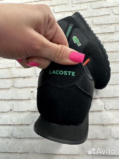 Кроссовки мужские lacoste