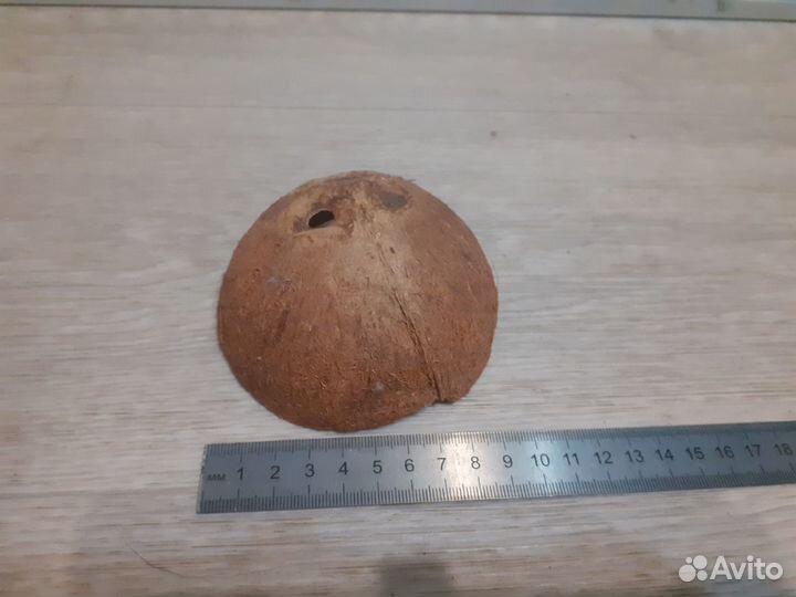 Гроты, коряга, отсадники, сачки