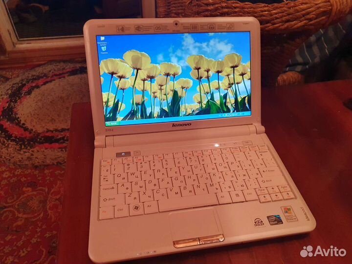 Нетбук Lenovo ideaPad S10-2