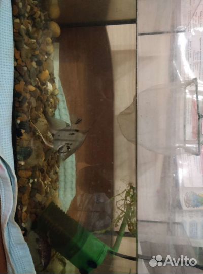 Аквариум 70 литров