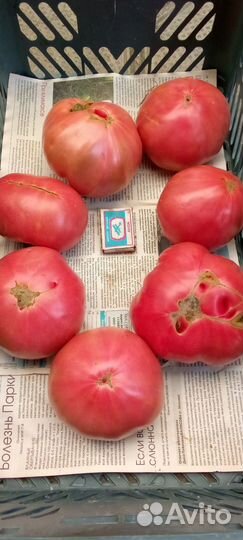 Почвосмесь, грунт, перегной крс в мешках 50л