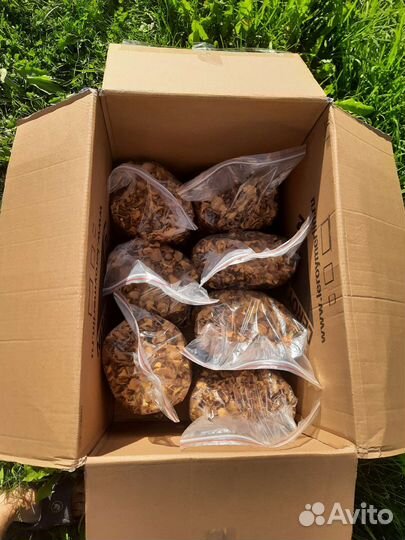 Сушеные грибы лисички, Лисички сушёные