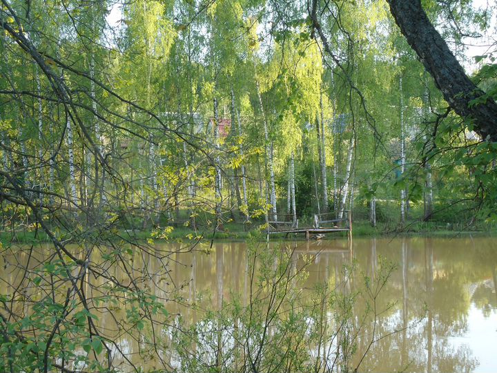 Участок 5,8 га (СНТ, ДНП)