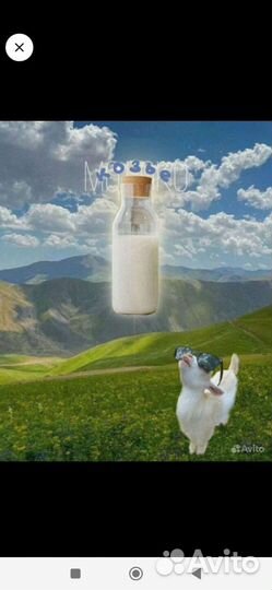 Продам козье молоко