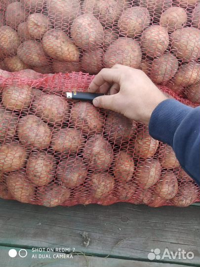 Картофель с доставкой на дом