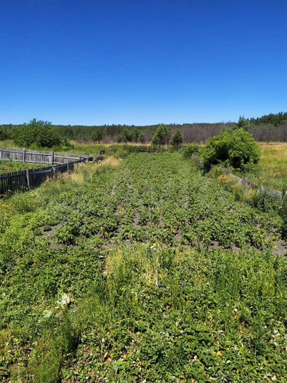 Дом 58,6 м² на участке 8 сот.