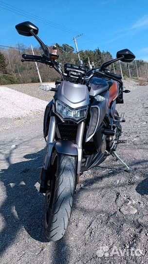 Мотоцикл Alien monster sk-300 (Senke)
