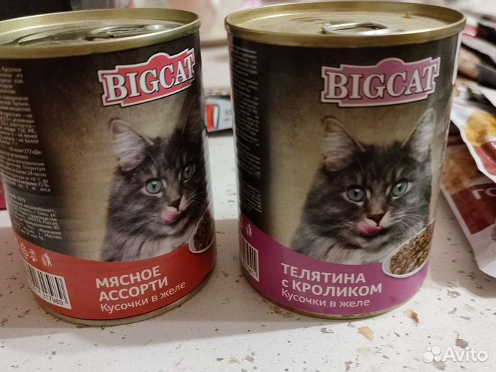 Влажный корм для кошек