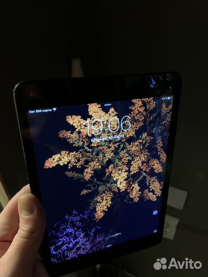 iPad mini